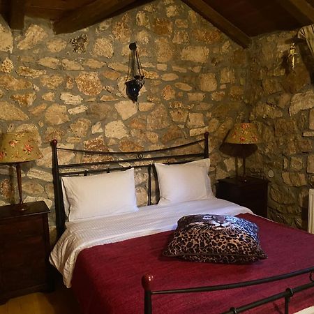 Archontiko Fiamegou Hotel&Spa Синикия-Меси-Трикала Экстерьер фото