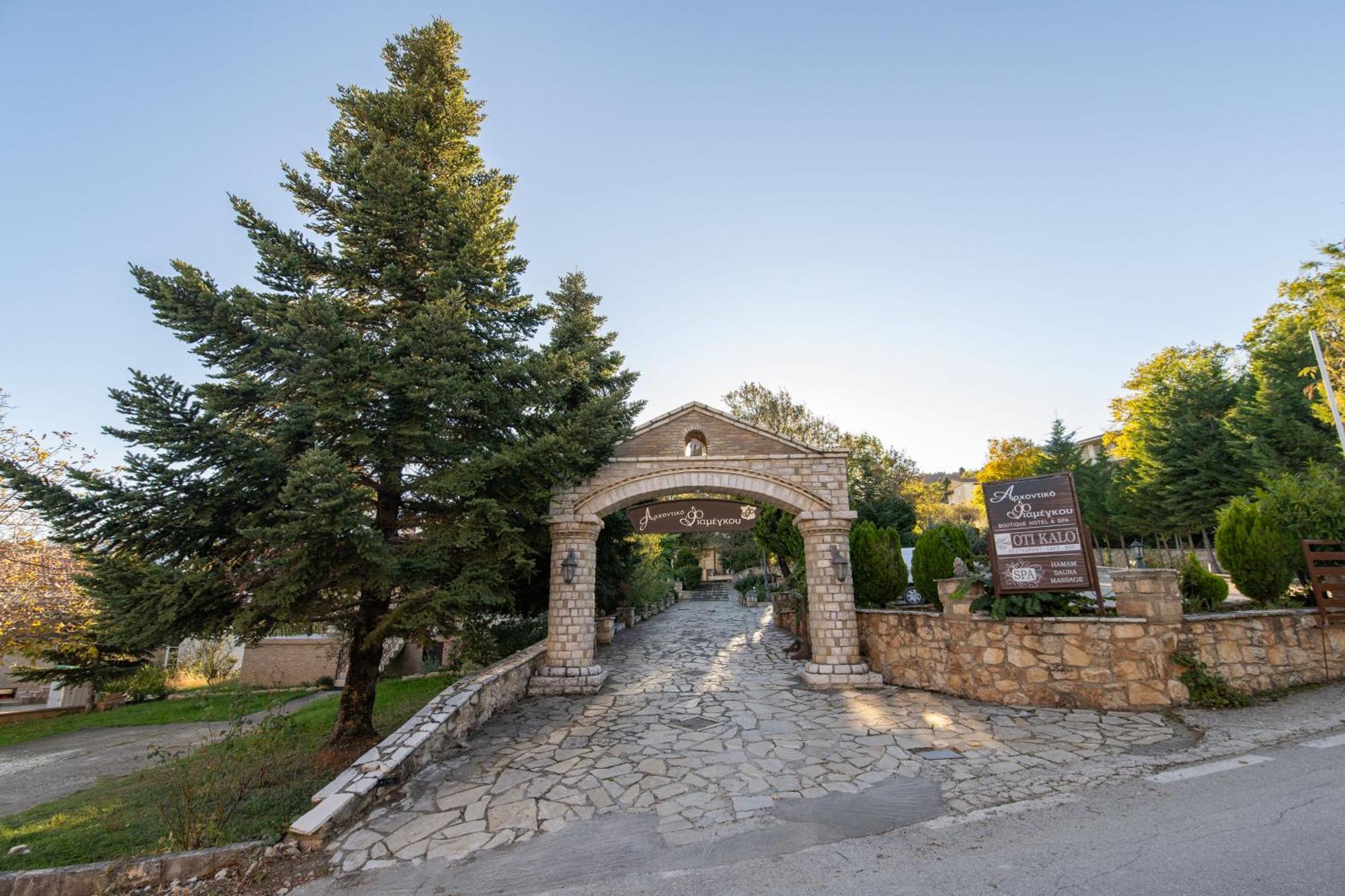 Archontiko Fiamegou Hotel&Spa Синикия-Меси-Трикала Экстерьер фото