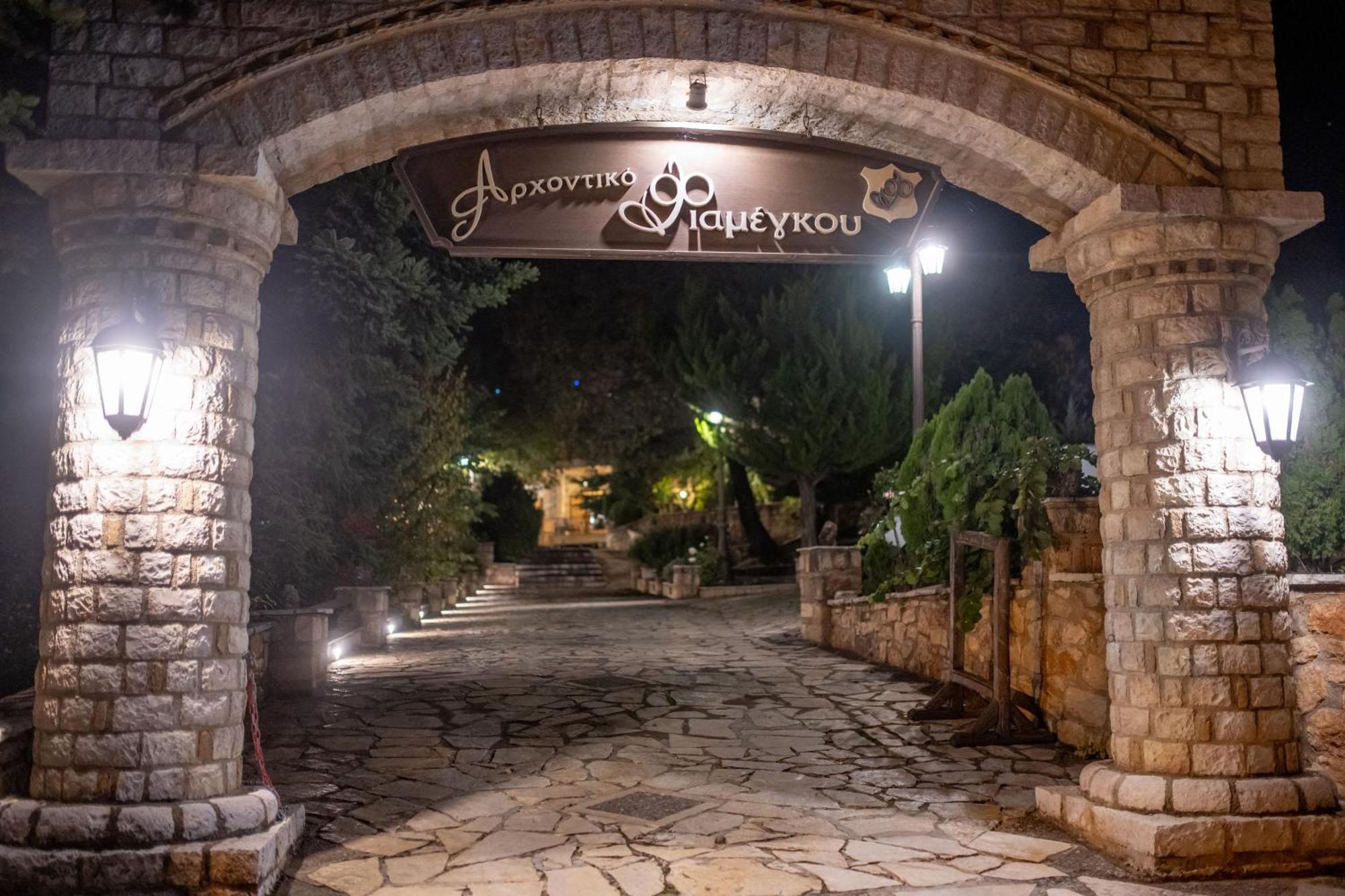 Archontiko Fiamegou Hotel&Spa Синикия-Меси-Трикала Экстерьер фото